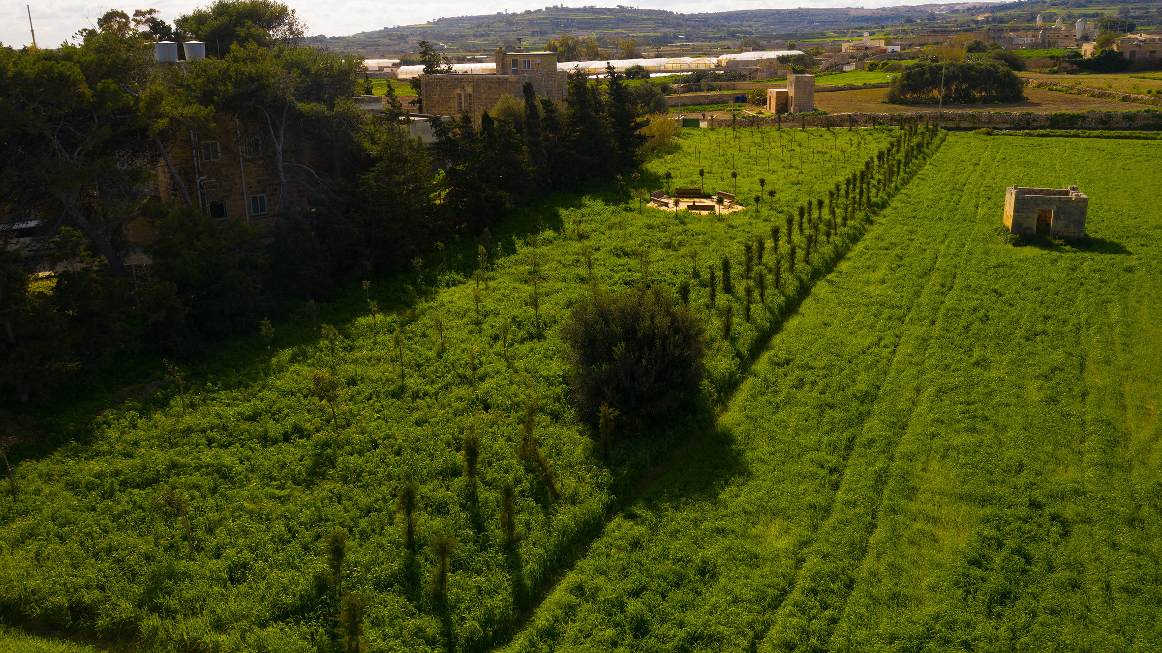 Infrastructure Malta plants 22162 trees in 2021 Infastructure Malta
